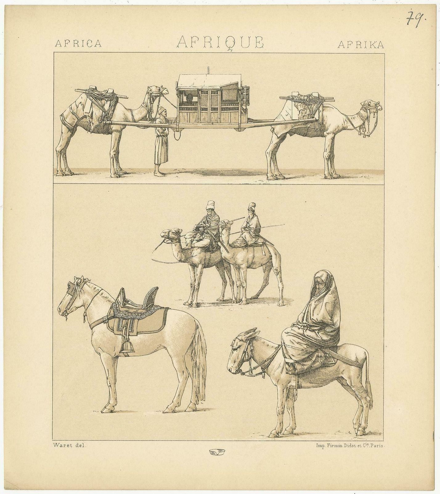 Antique Print Of African Working Animals By Racinet, 'Circa 1880' photo furniture