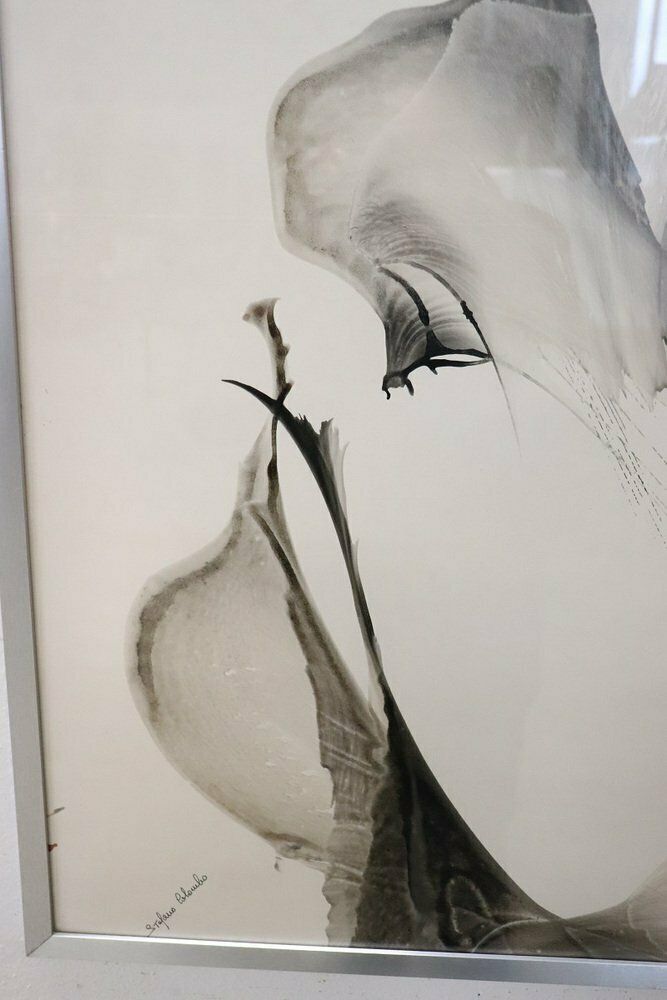 Stefano Colombo, Abstract Compositions, 1970s, Tempera On Paper, With Frame, Set Of 2 photo furniture