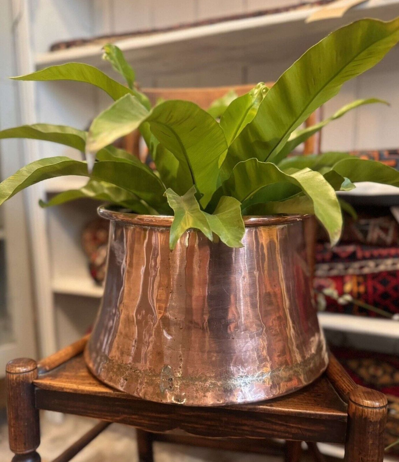 Antique Copper Cauldron/ Jardiniere 19th Century photo Home Decor