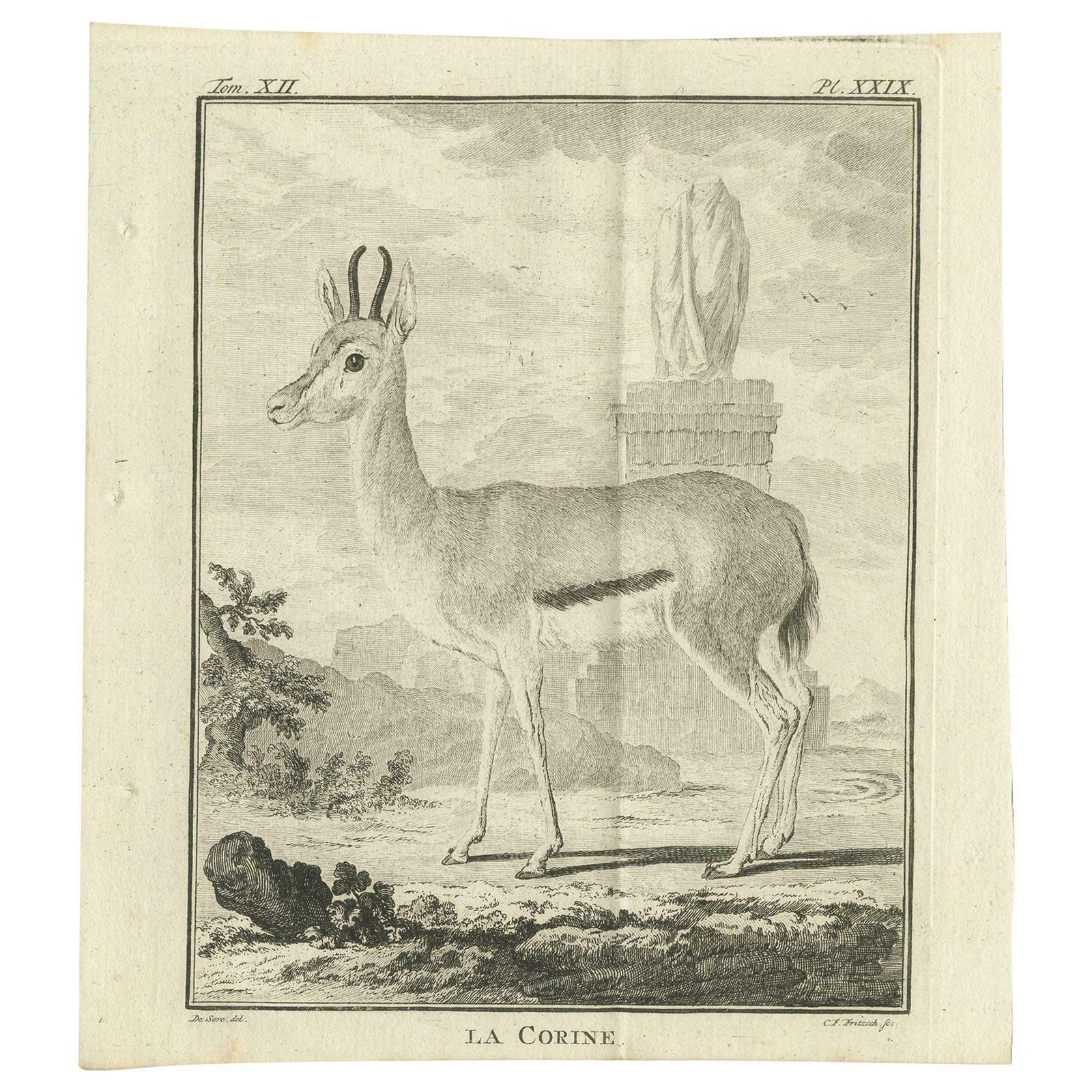 Pl. 29 Antique Print Of An Antelope Species By Buffon, 1769
