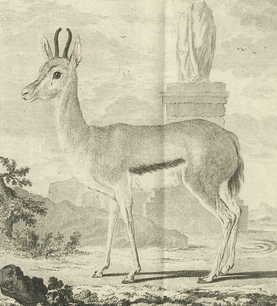 Pl. 29 Antique Print Of An Antelope Species By Buffon, 1769 photo Art