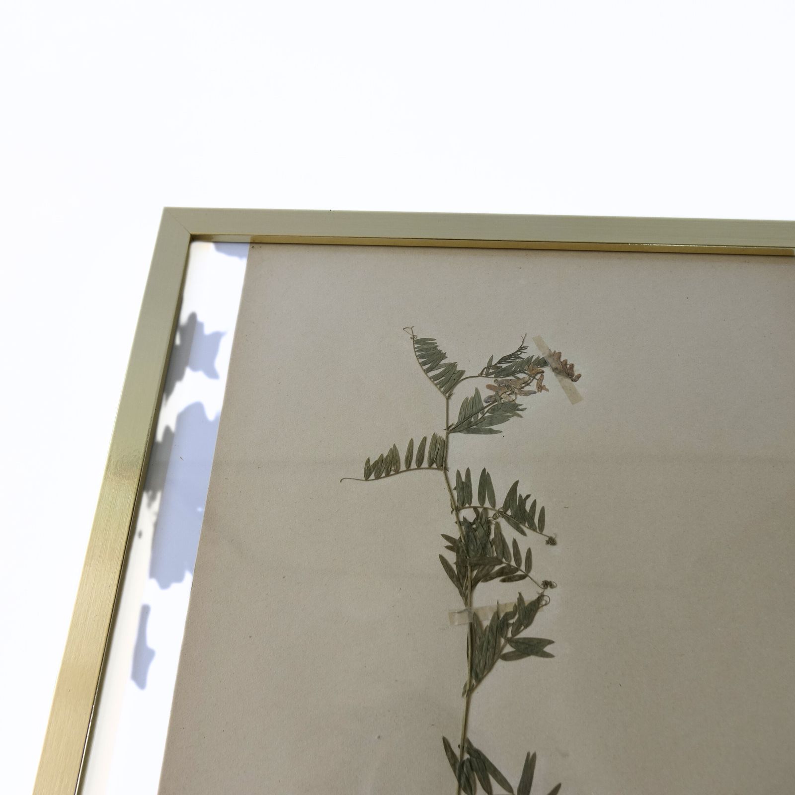Antique Herbarium. Framed. Different Floral Species Picked In Sweden 1890 1950s photo furniture