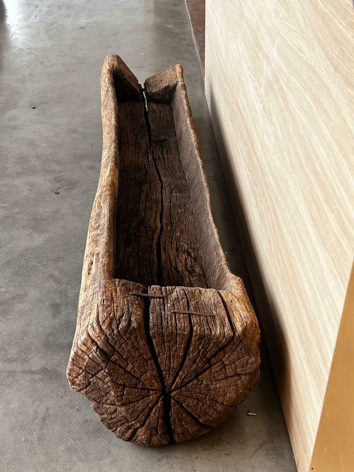 Spanish Antique & Brutalist Hollowed Out Tree Trunk Wooden Planter, 1700 photo vintage
