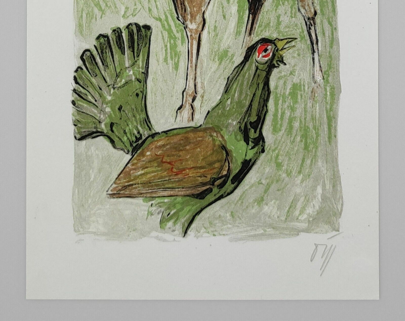 A.W. Diggelmann – Colourful Stag & Capercaillie Lithograph Print   Signed 1970s photo for sale