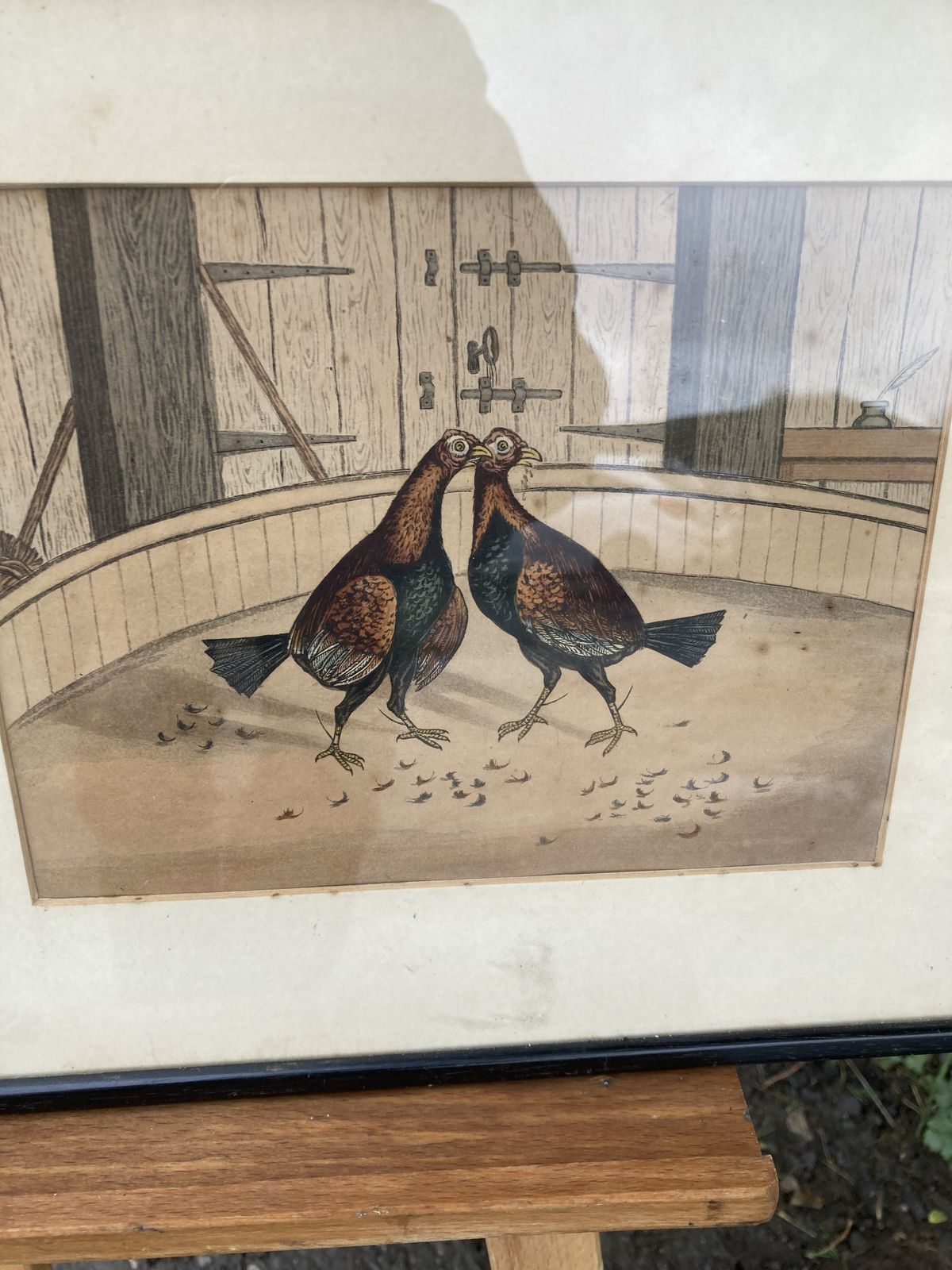 Set Of 3 Coloured Victorian Cock Fighting Bird Prints In Frames photo buy