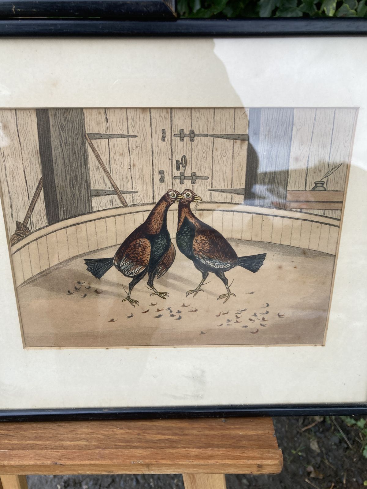 photo vinterior Set Of 3 Coloured Victorian Cock Fighting Bird Prints In Frames