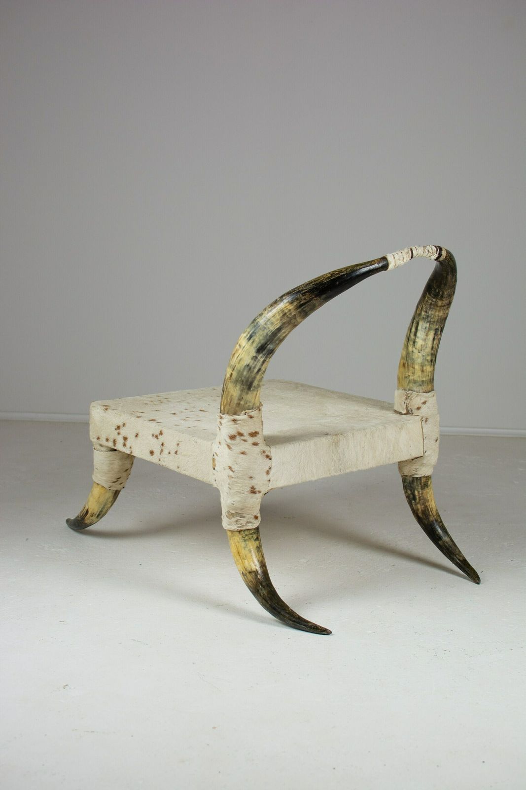 Pair Of Vintage Steer Horn And Hide Side Chairs. Côte D'ivoire, West Africa photo buy