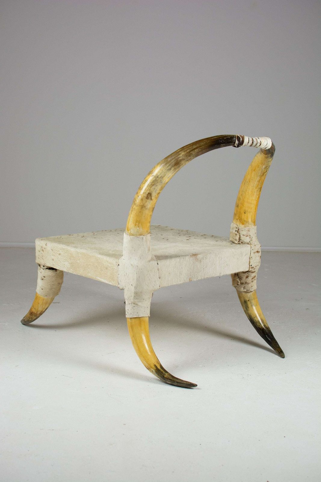 Pair Of Vintage Steer Horn And Hide Side Chairs. Côte D'ivoire, West Africa photo vintage