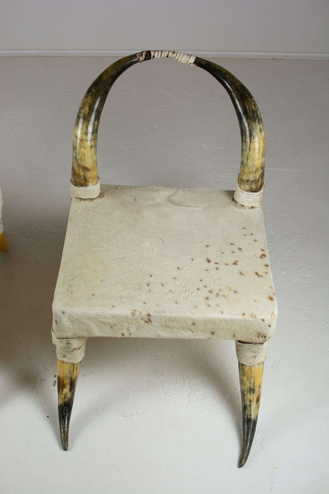 photo furniture Pair Of Vintage Steer Horn And Hide Side Chairs. Côte D'ivoire, West Africa