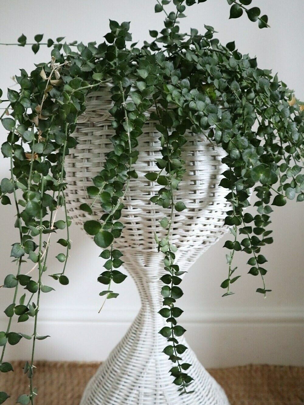 White Wicker Pedestal Plant Stand photo for sale