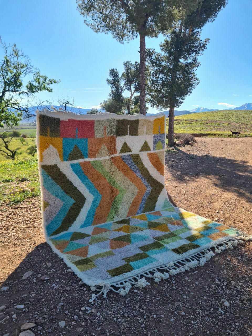 Beniouaren Moroccan Rug 300x200 Cm