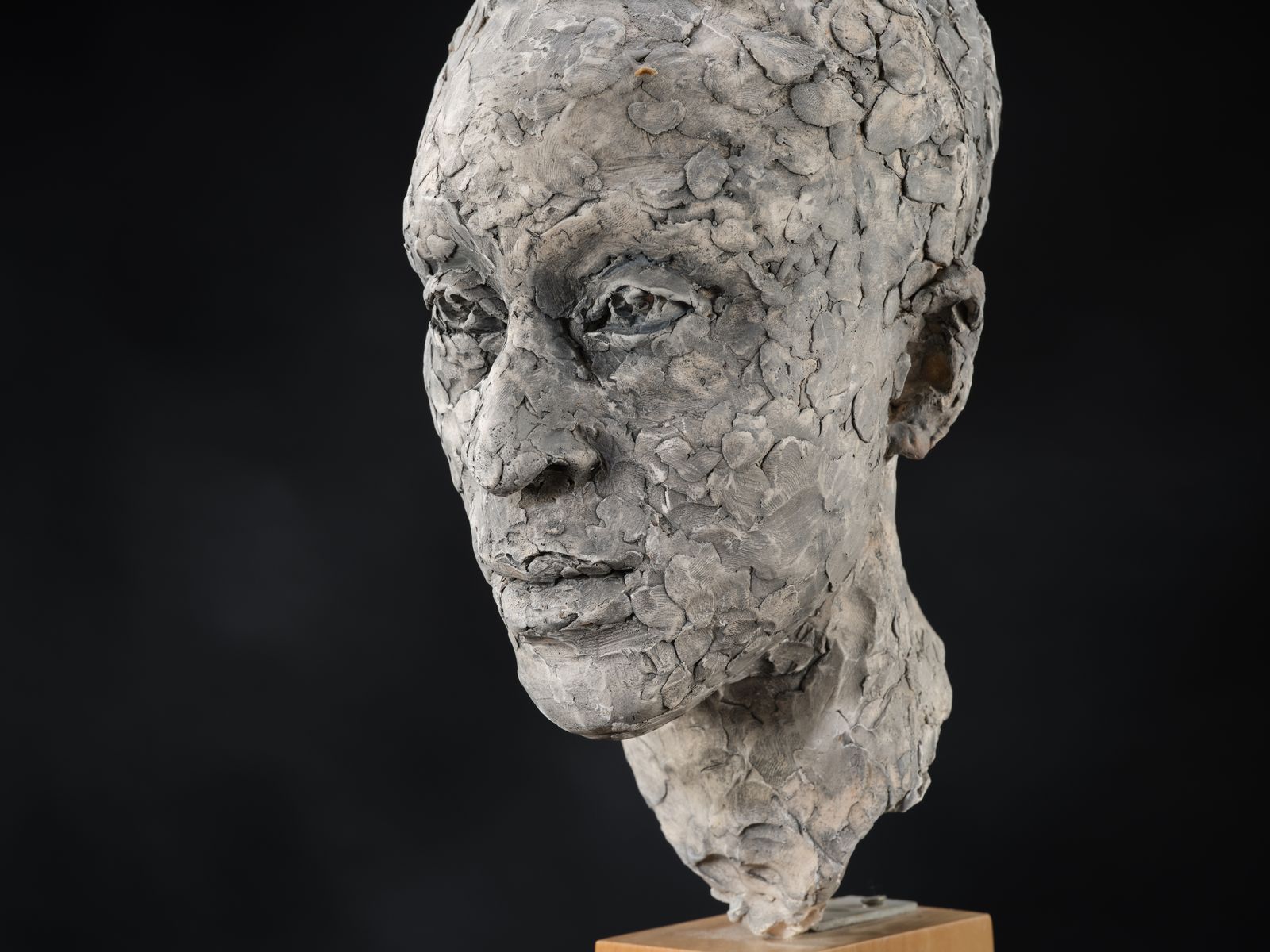 Stunning 'Patience Agbabi' Vintage Man Head Sculpture By Bryan Ellery, England Circa 1990's photo for sale
