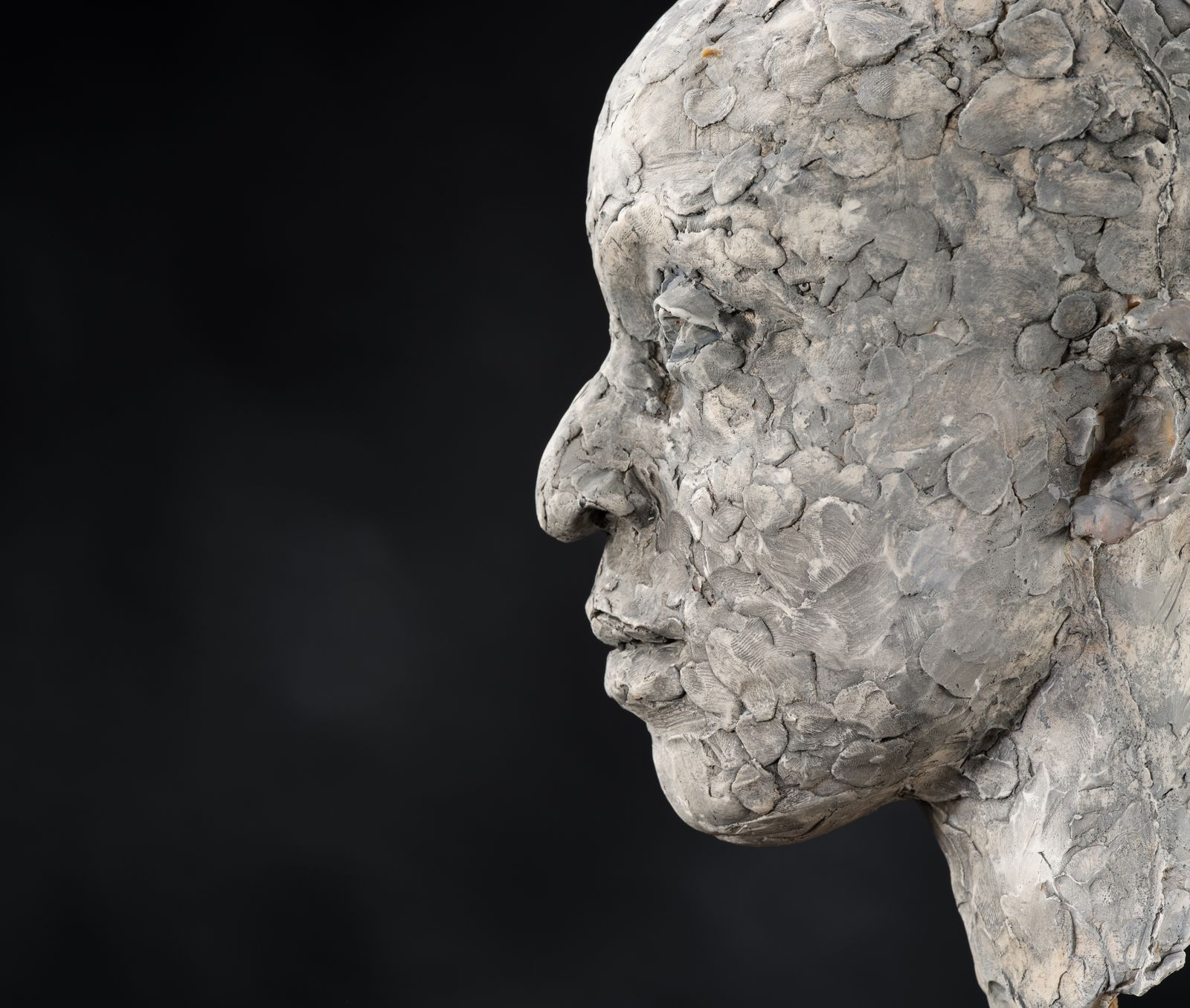 2795.0 Stunning 'Patience Agbabi' Vintage Man Head Sculpture By Bryan Ellery, England Circa 1990's photo