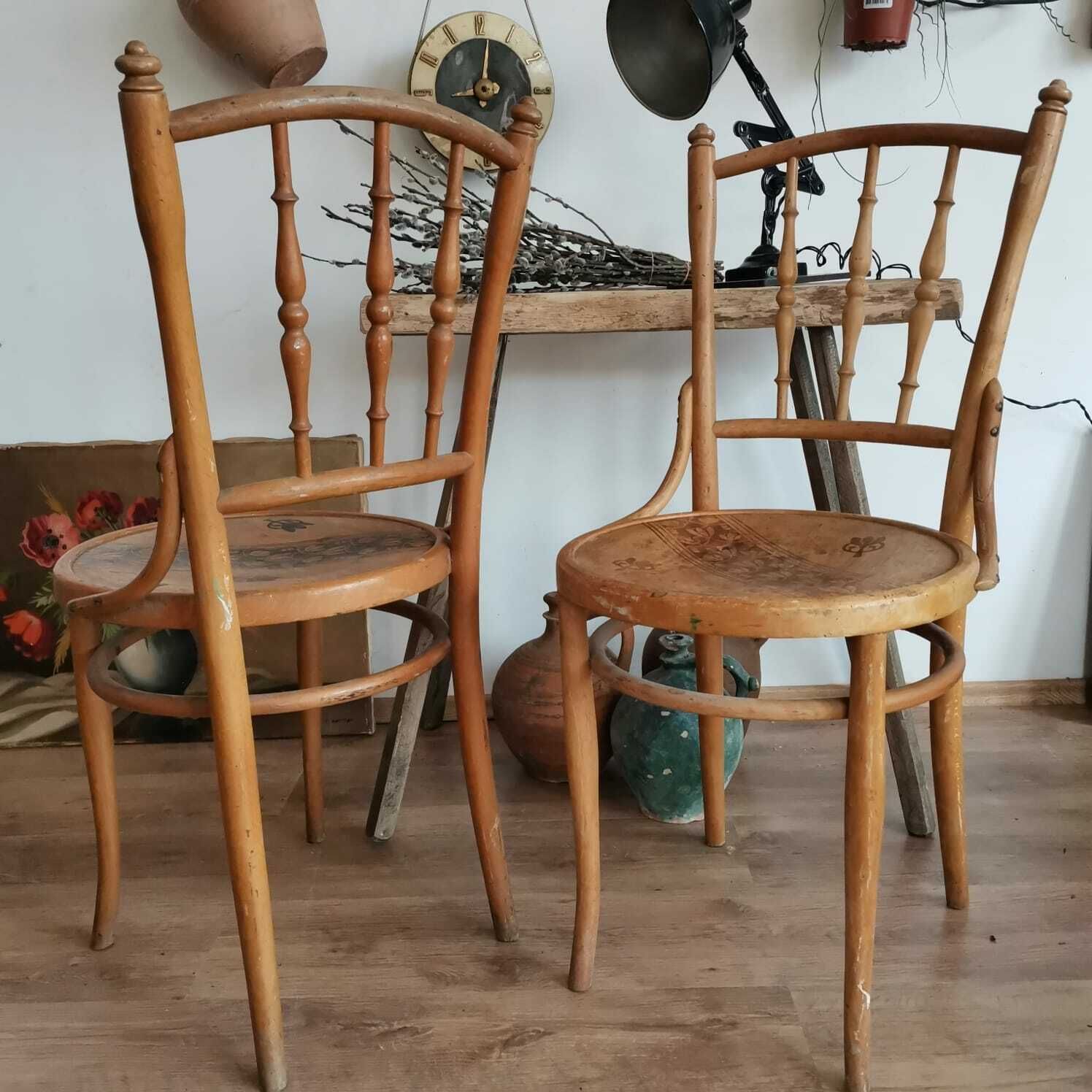 Rare Josip Povischil Bentwood Dining Chairs With Decorative Details, Set Of Two photo furniture