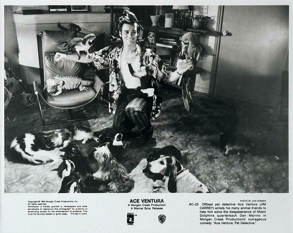 Ace Ventura Publicity Film Still 1994 Jim Carrey Framed photo furniture