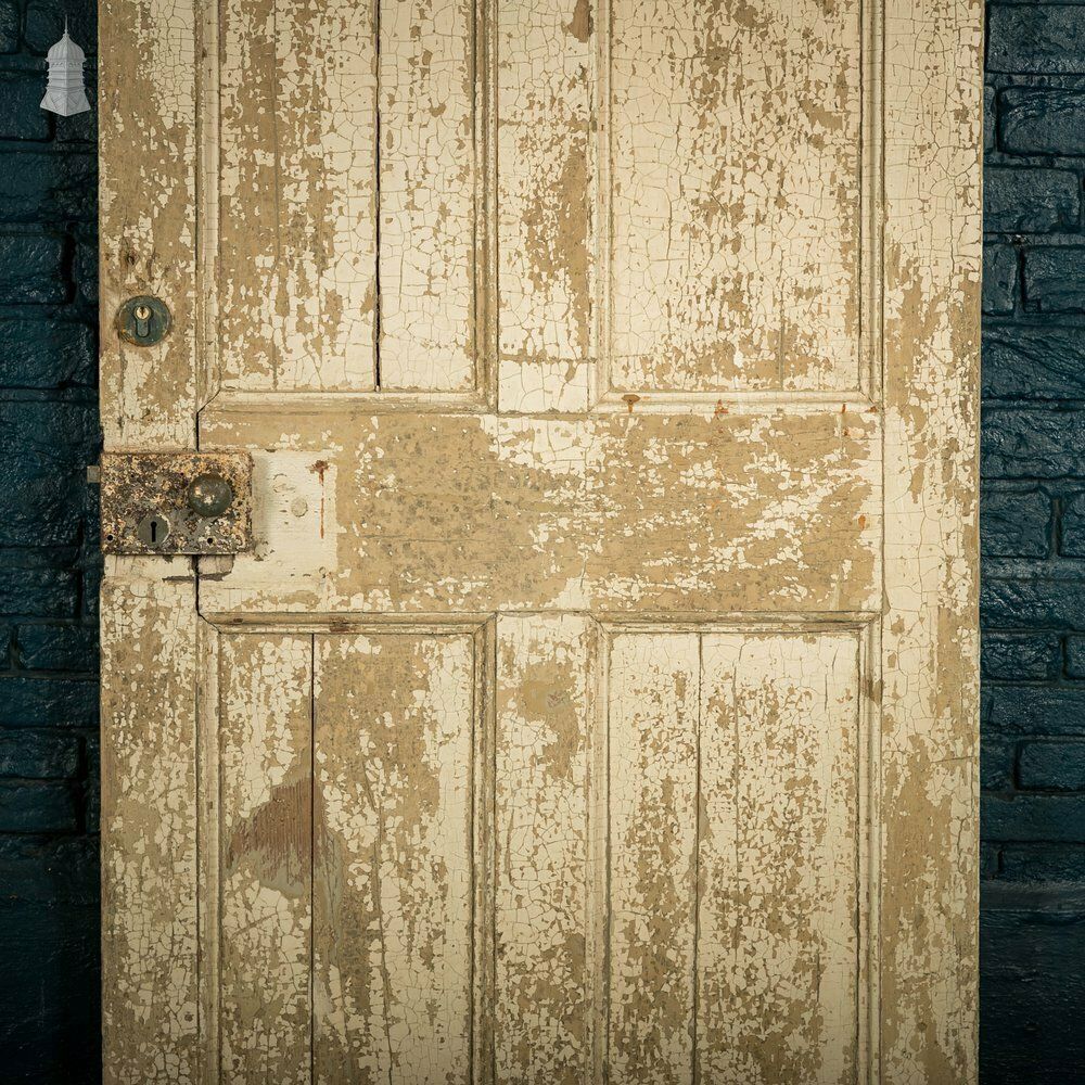 Pine Paneled Door, 6 Moulded Panel Distressed White Painted photo furniture