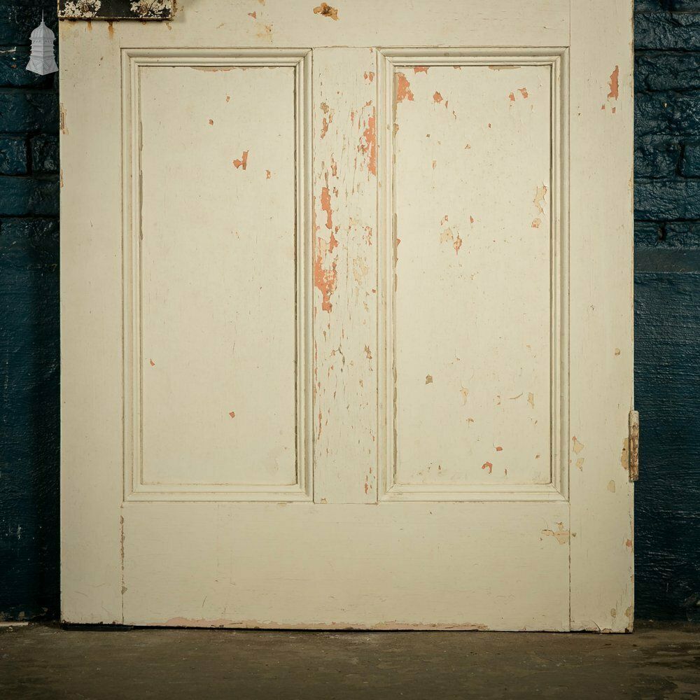 Pine Paneled Door, 6 Moulded Panel White Painted photo Home Fixtures