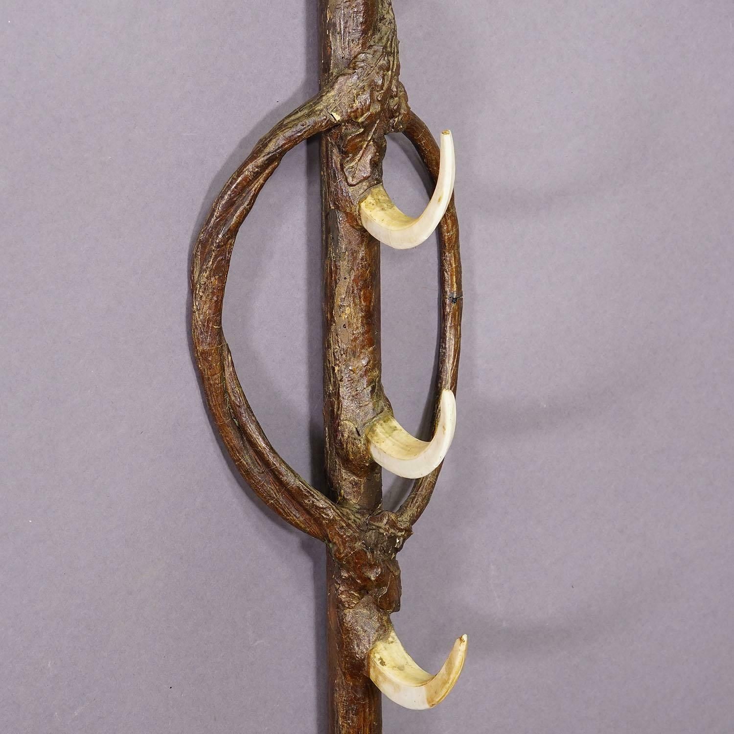 photo for sale A Pair Antique Black Forest Gun Holders, Austria Late 19th Century