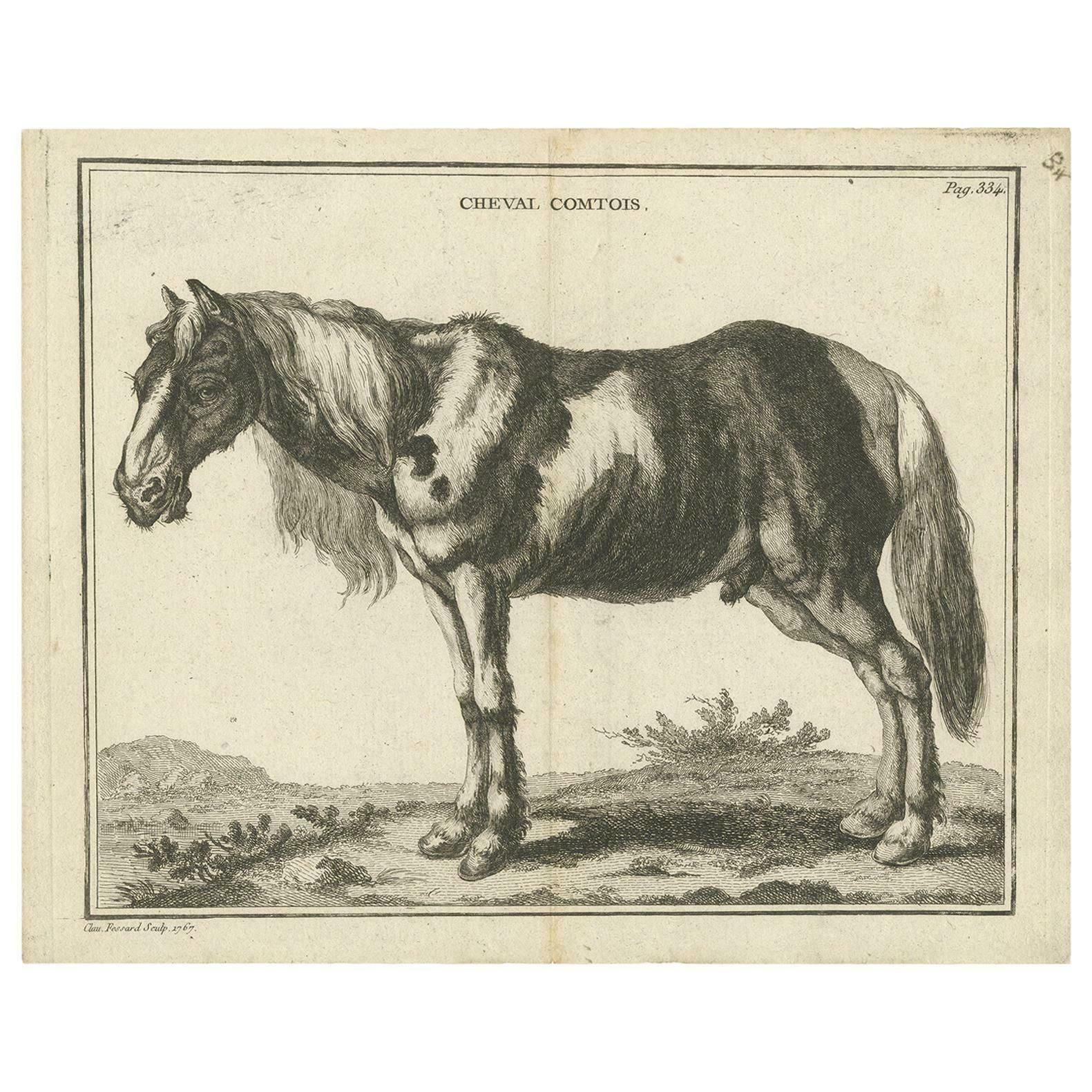 Antique Print Of A Comtois Horse By Fessard, '1819'