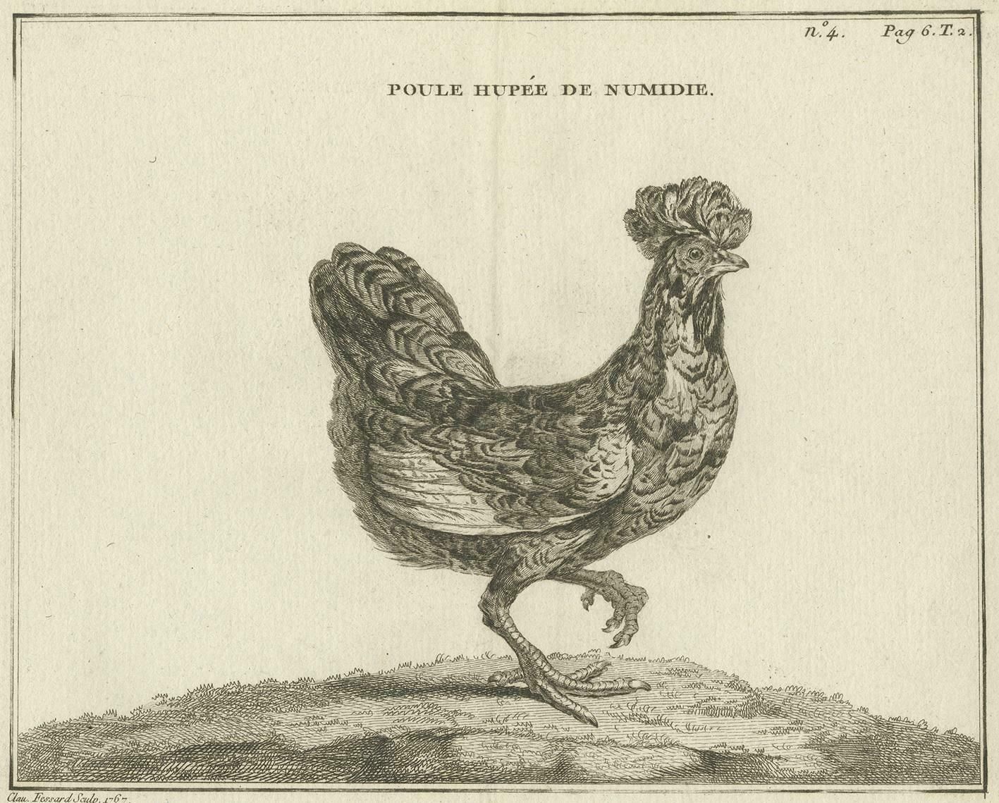 Antique Bird Print Of A Numidia Hen By Fessard, 1819 photo for sale