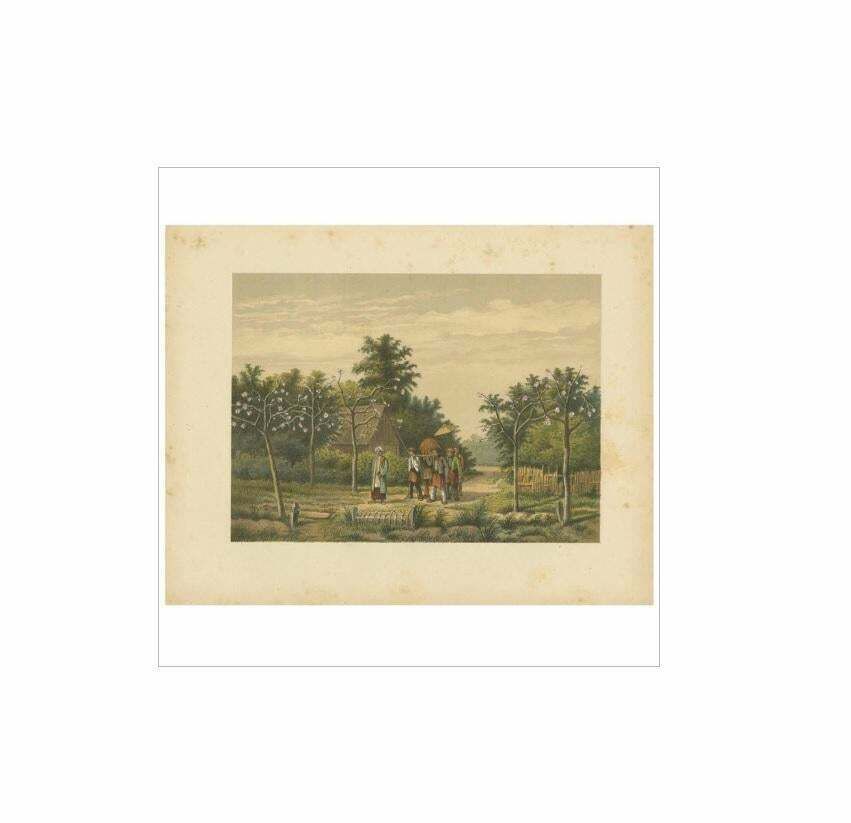 Antique Print Of A Funeral Ceremony On Java By M.T.H. Perelaer, 1888 photo Art