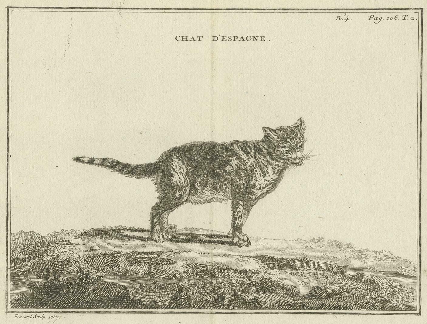 Antique Print Of A Calico Cat By Fessard, 1819 photo furniture