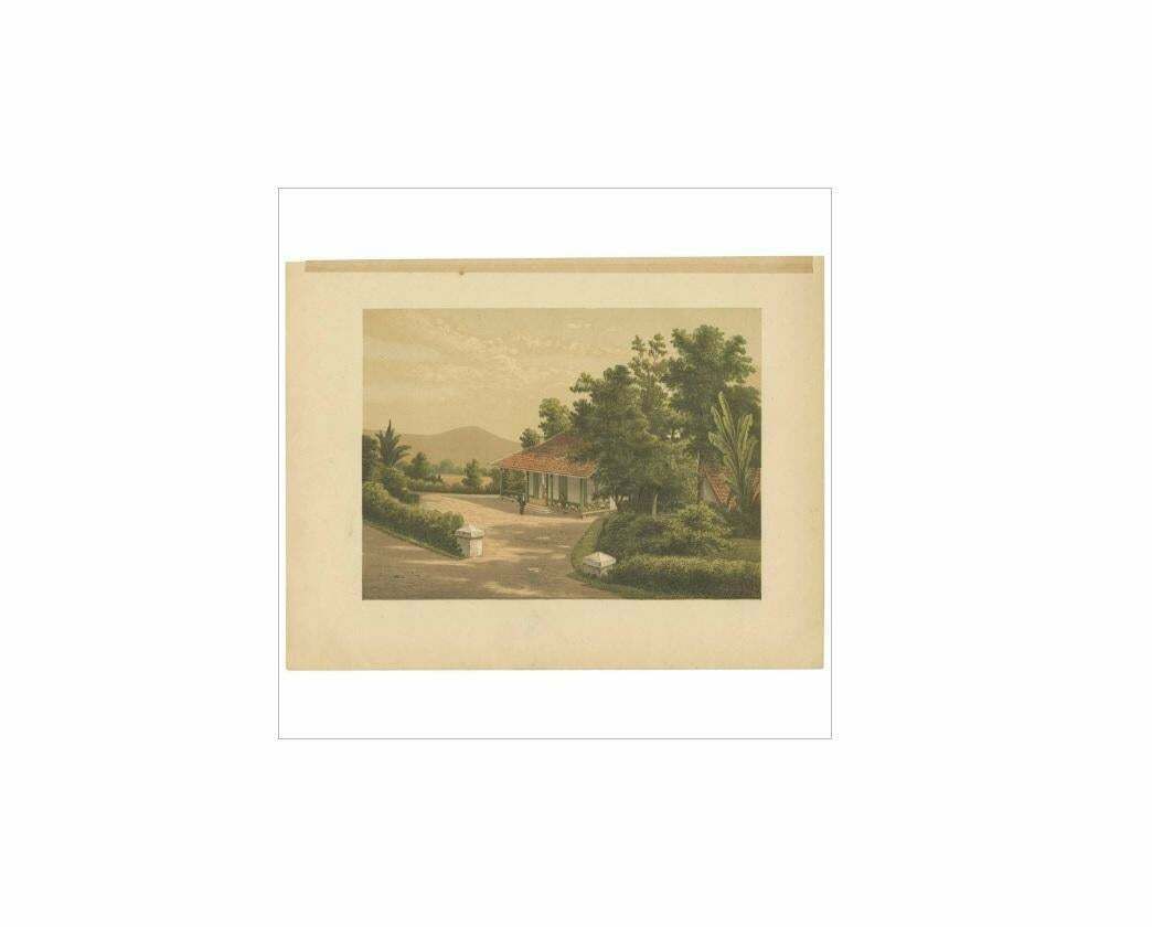 Antique Print Of The Residence Of Mr. V. Meurs 'Java' By M.T.H. Perelaer, 1888 photo for sale