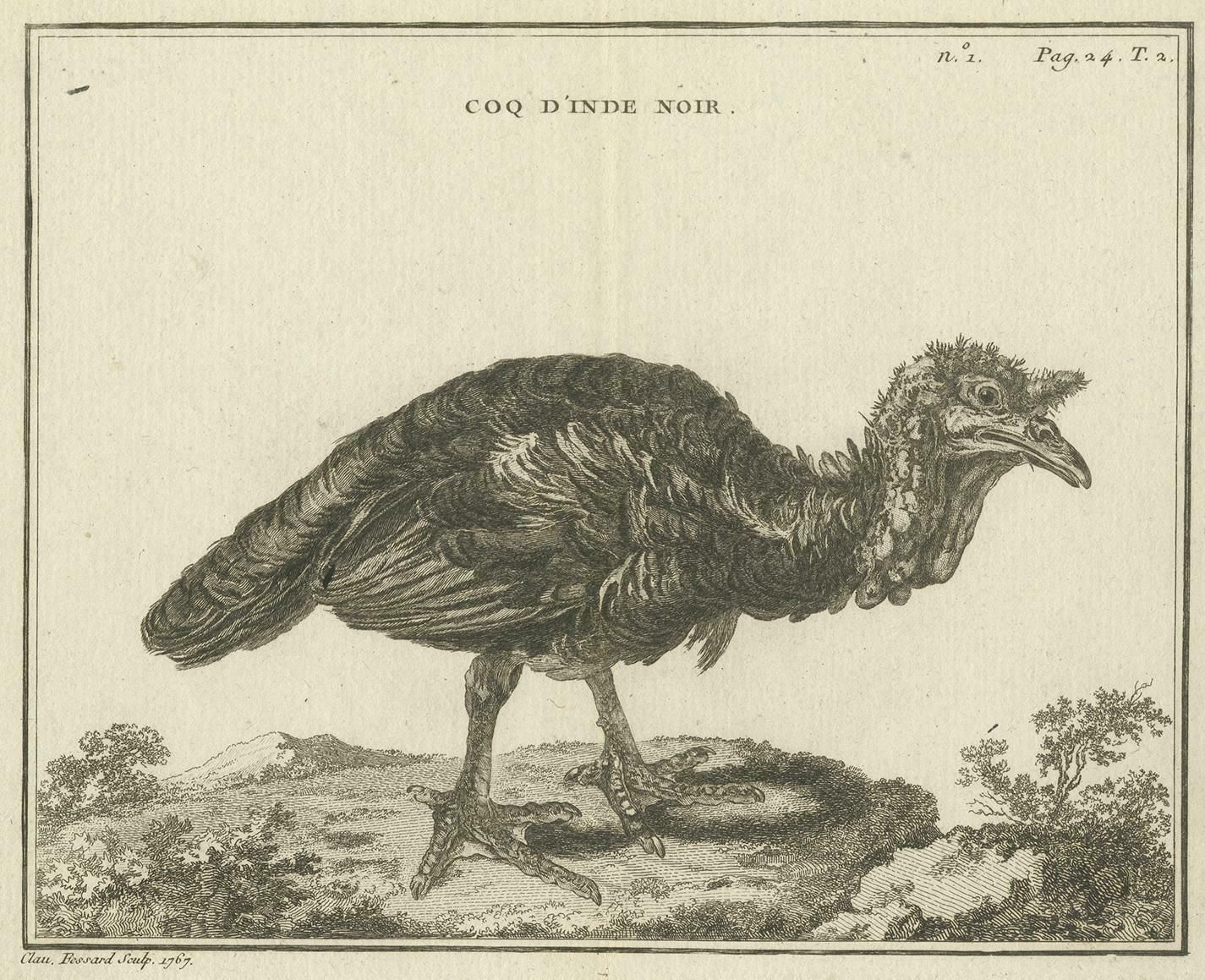 Antique Bird Print Of A Black Rooster By Fessard, 1819 photo for sale