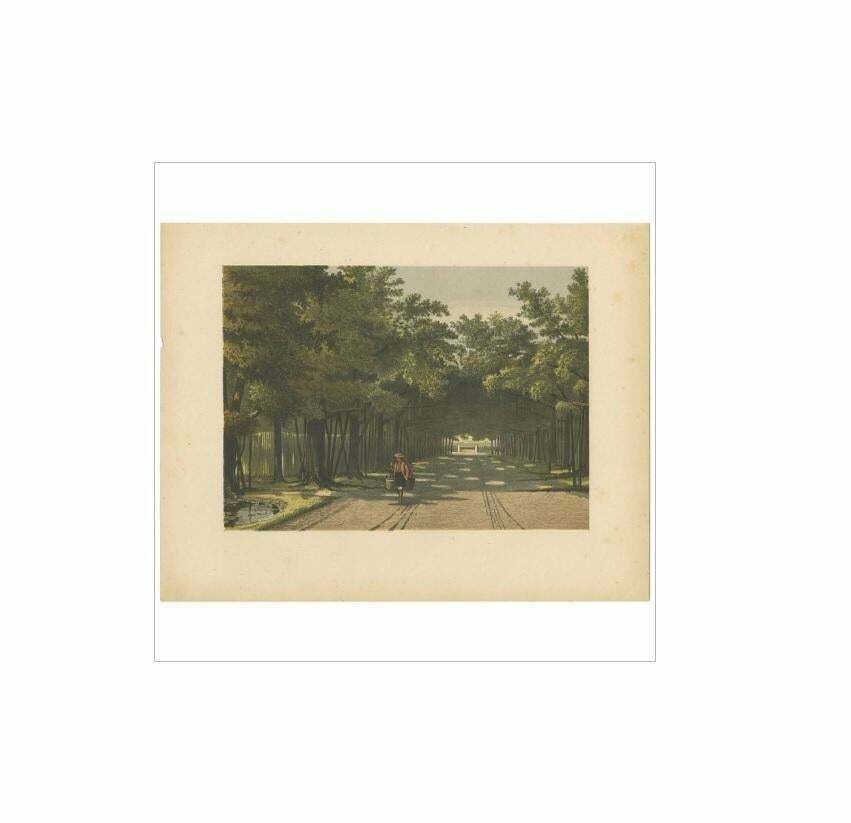Antique Print Of The Royal Arboretum In Batavia By M.T.H. Perelaer, 1888 photo furniture