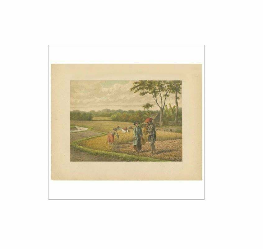 Antique Print Of A Rice Field On Java By M.T.H. Perelaer, 1888 photo furniture