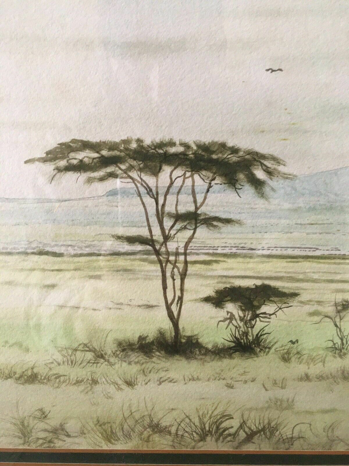Daniel Njoroge Kenya Artist Wildlife Watercolour Original Paining Framed photo buy