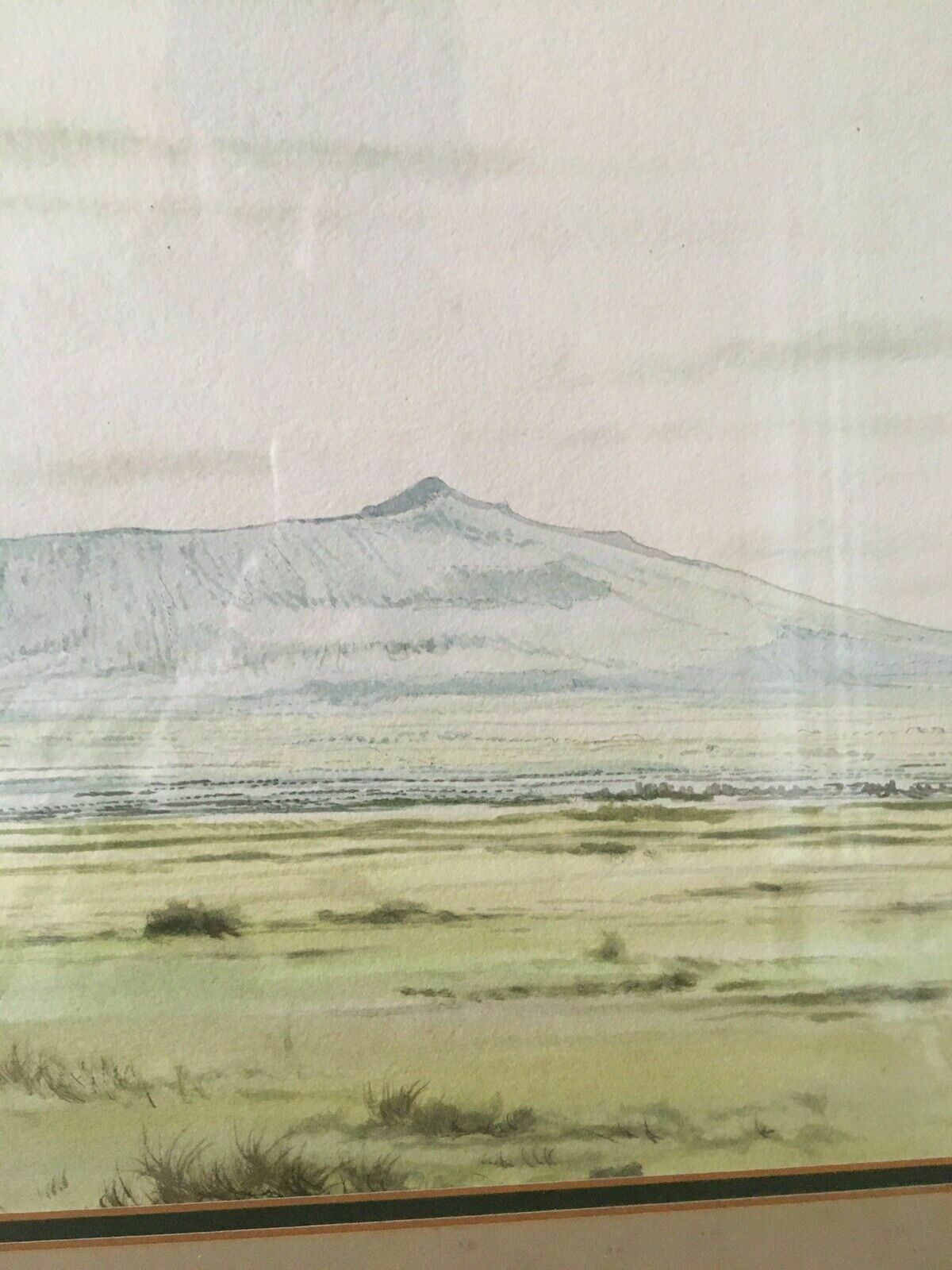 photo for sale Daniel Njoroge Kenya Artist Wildlife Watercolour Original Paining Framed