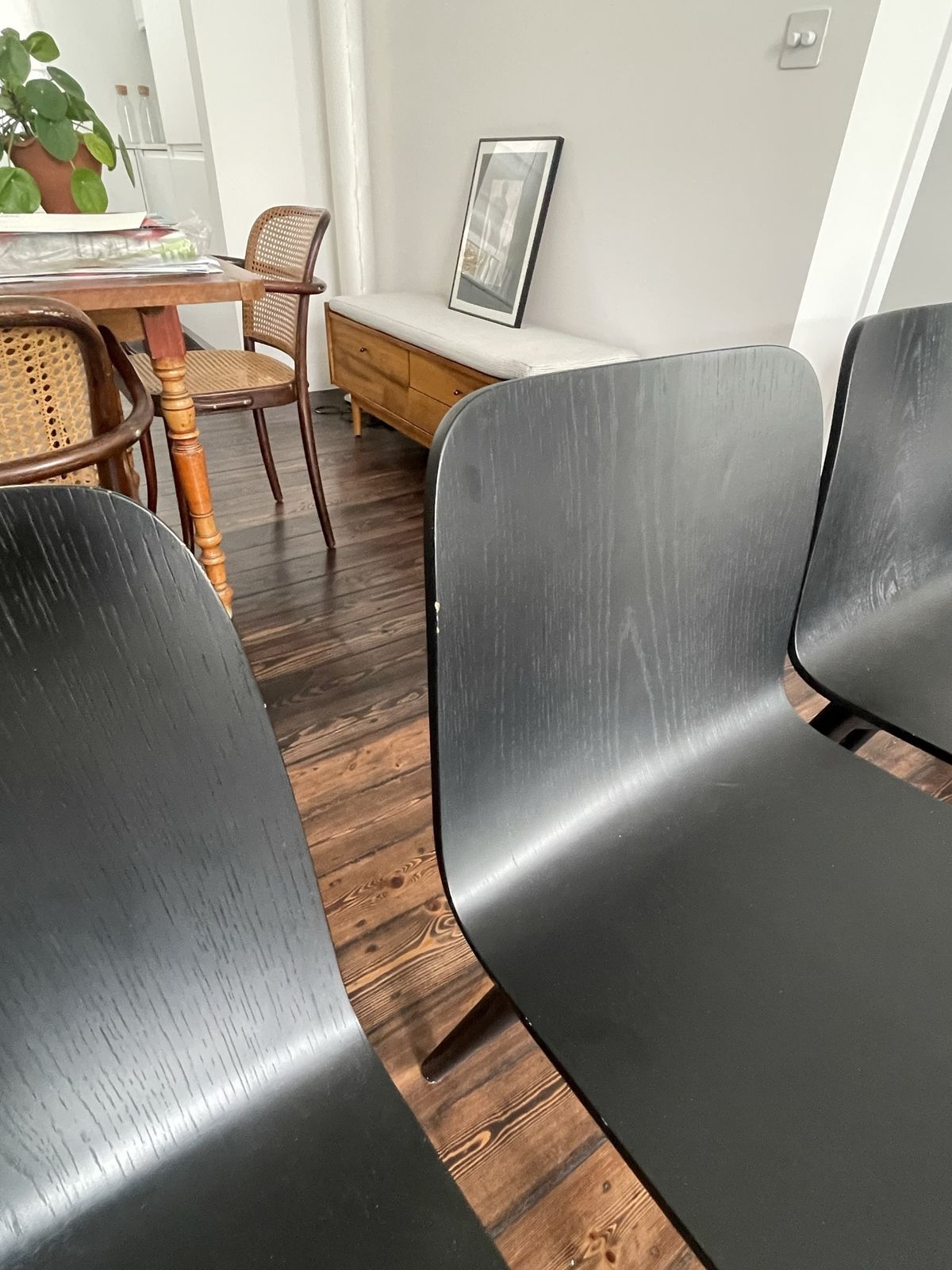 Dining Chairs With Bent Black Oak Seat And Round Solid Wood Legs. Set Of 4or 6 photo for sale