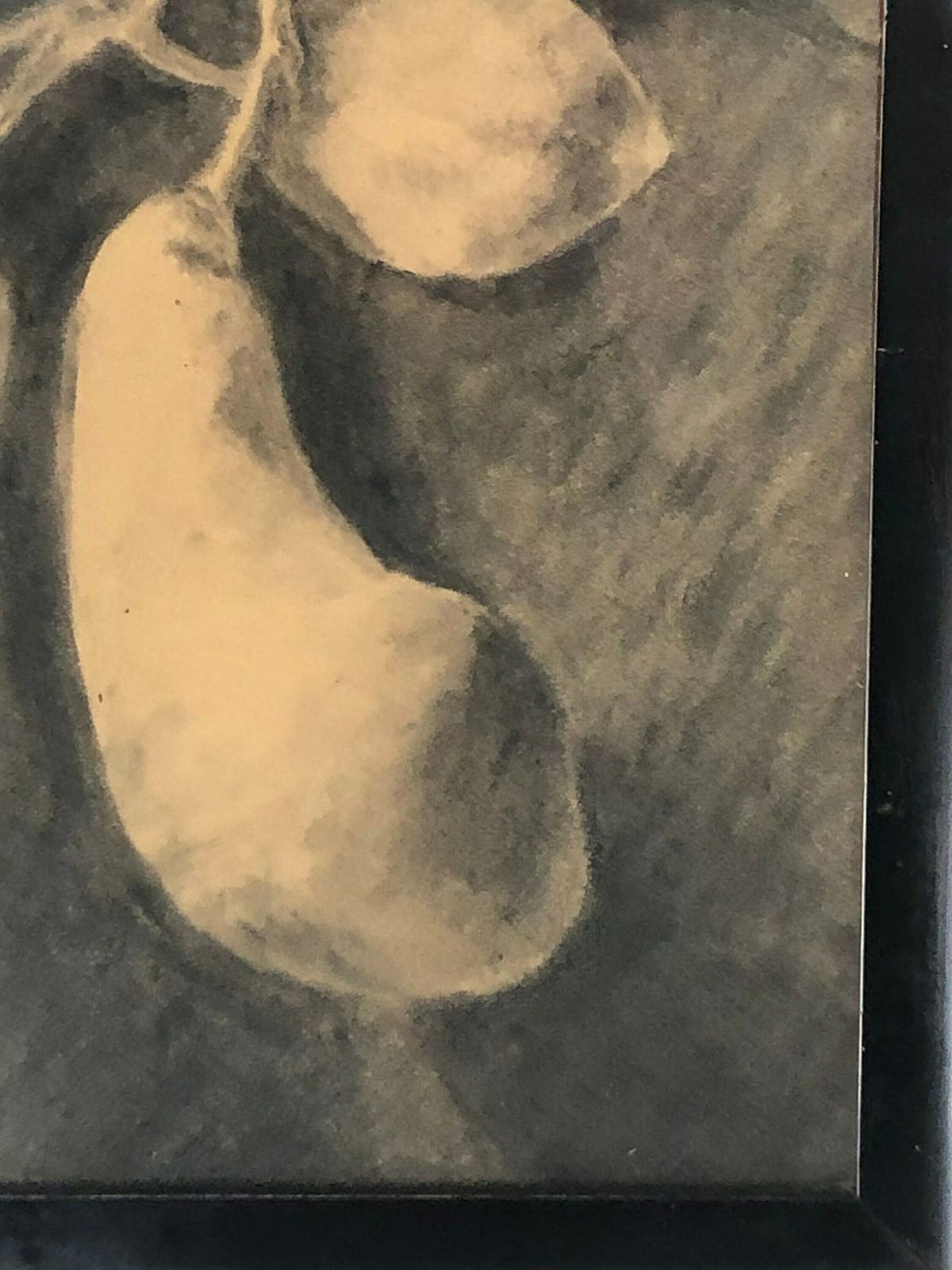 Original Danish Vintage Drawing In Black And White With Still Life Motive Of Fruit On Branch With Leaves photo for sale