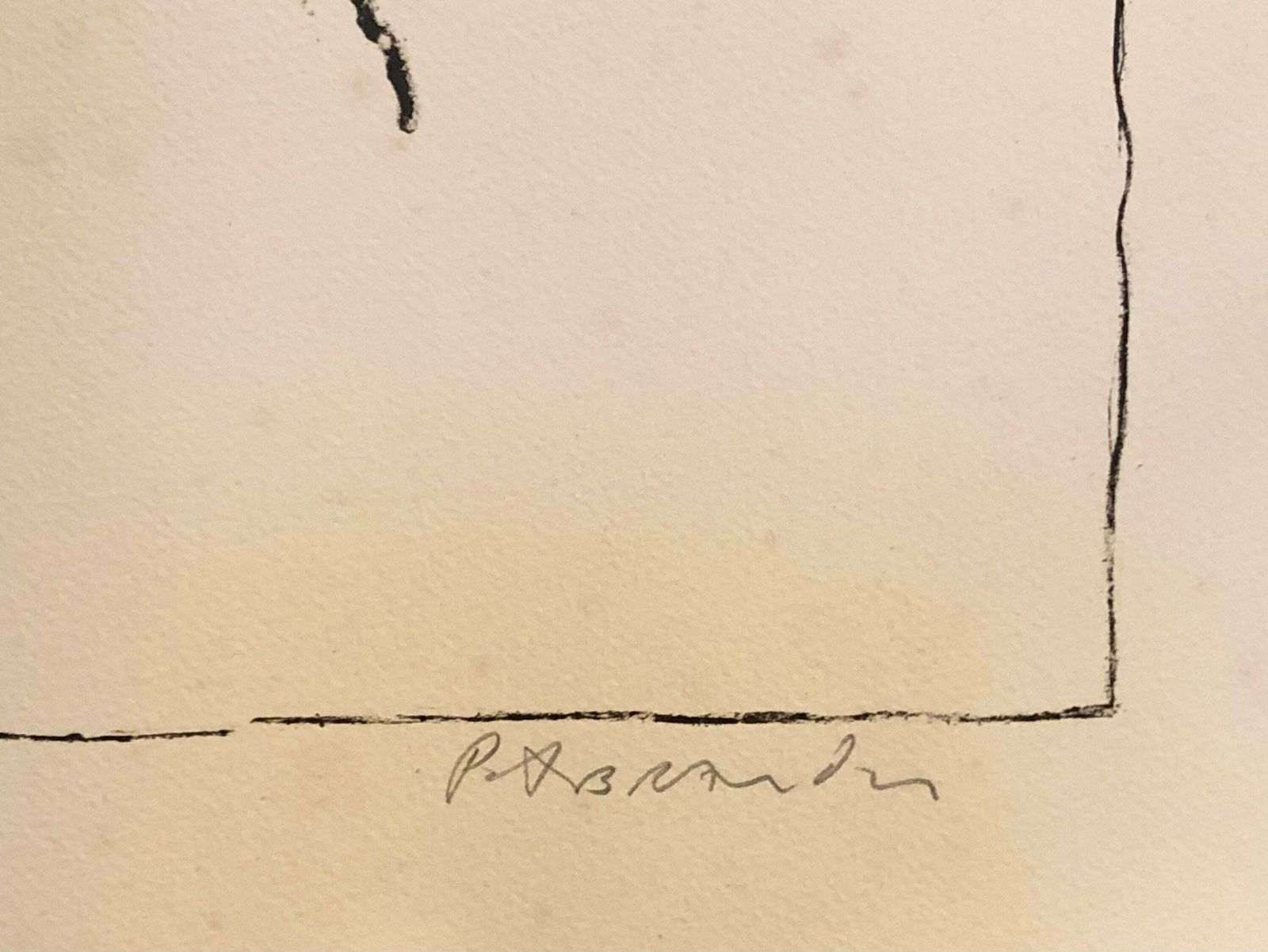 Peter Brandes (1944 ) Vintage Original Lithograph   Abstract Expressionist Art By Renowned Artist From Denmark photo furniture