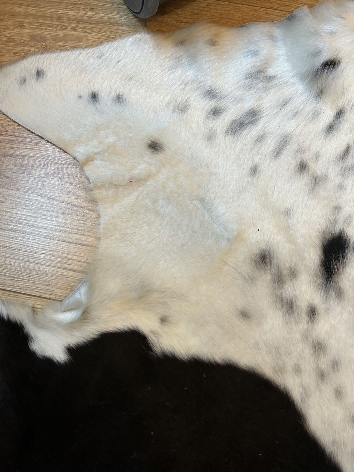 Large Cow Hide Rug