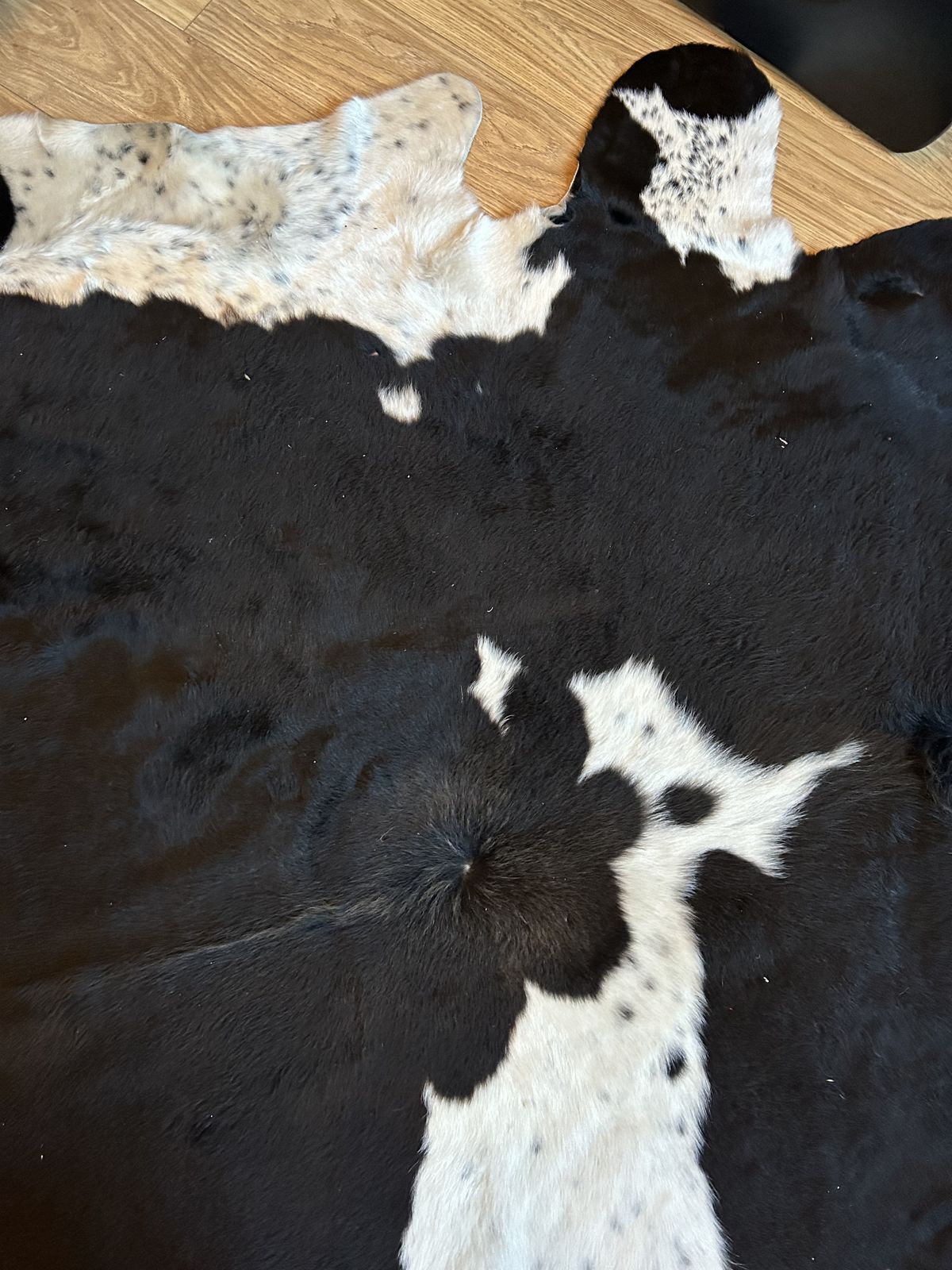 Large Cow Hide Rug photo furniture