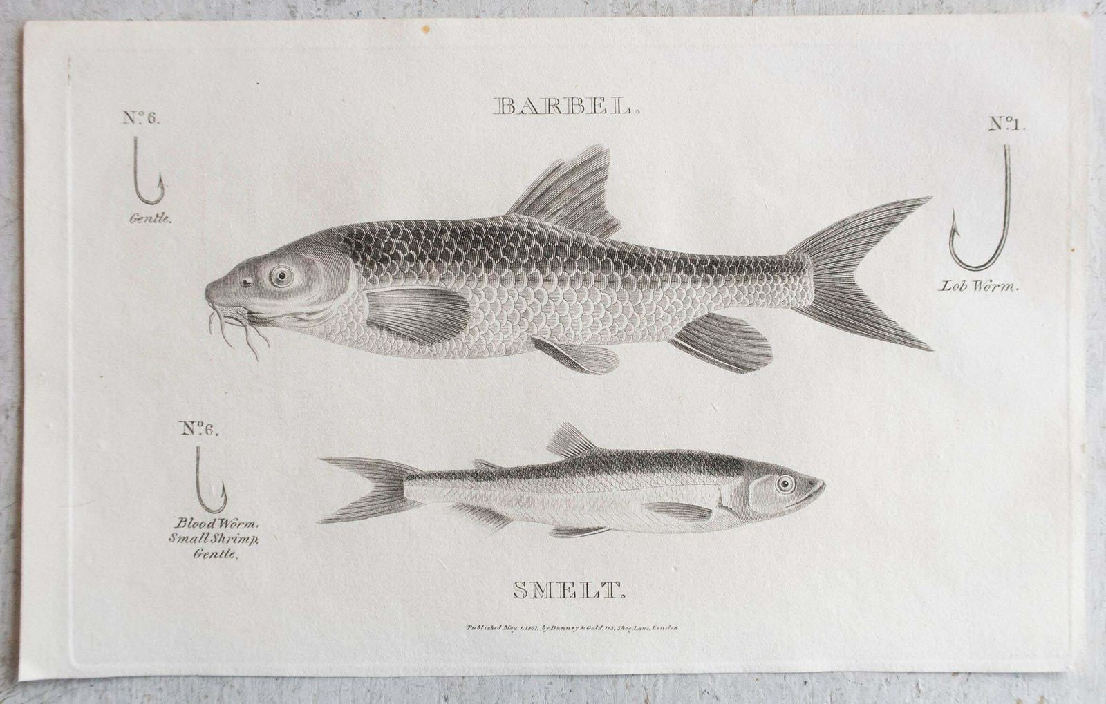 Set Of 5 Original Antique Fishing / Angling Prints, Dated 1801 photo 150.0