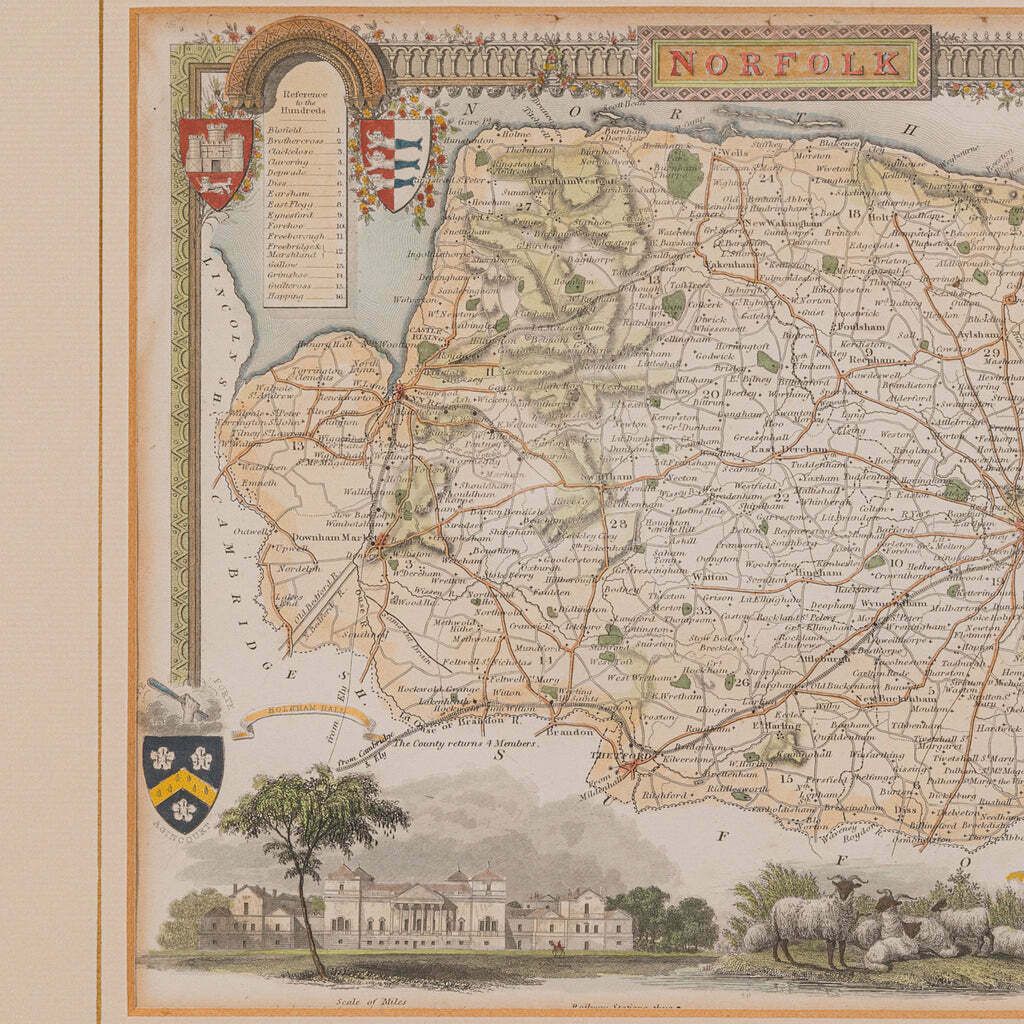 Antique County Map, Norfolk, English, Framed Lithography, Cartography, Victorian photo 295.0