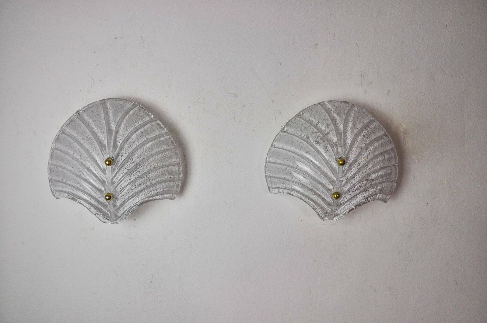 Pair Of Xl Shell Wall Lights, Frosted Murano Glass, Italy, 1980 photo for sale