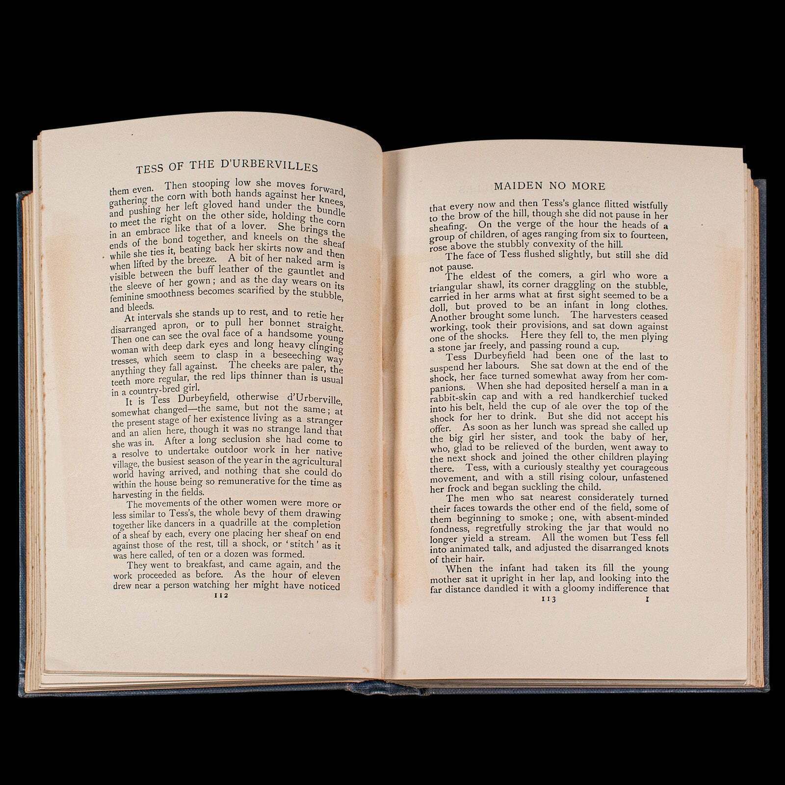 Vintage Book, Tess Of The D'urbervilles, Thomas Hardy, Limited Edition, Novel photo vintage