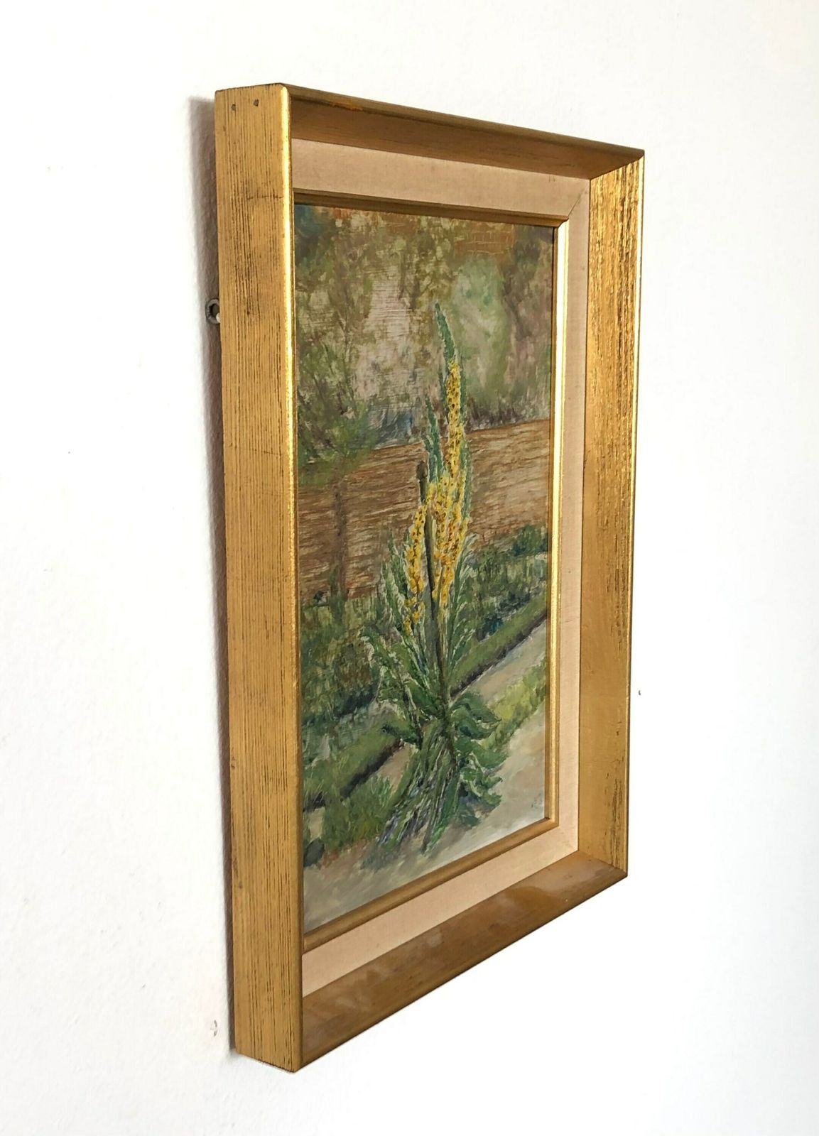 Danish Mid Century Oil Painting From 1961 Signed F.S.M. With Nature Motive Of Yellow Great Mullein photo Art