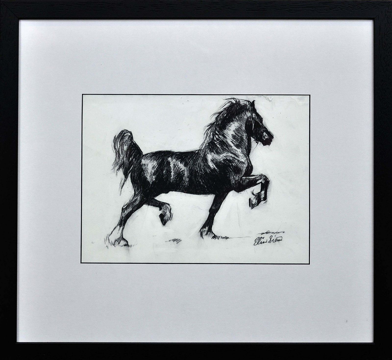 Elin Sian Blake Black Welsh Cob. Wales Native Heritage Horse Breed Society.