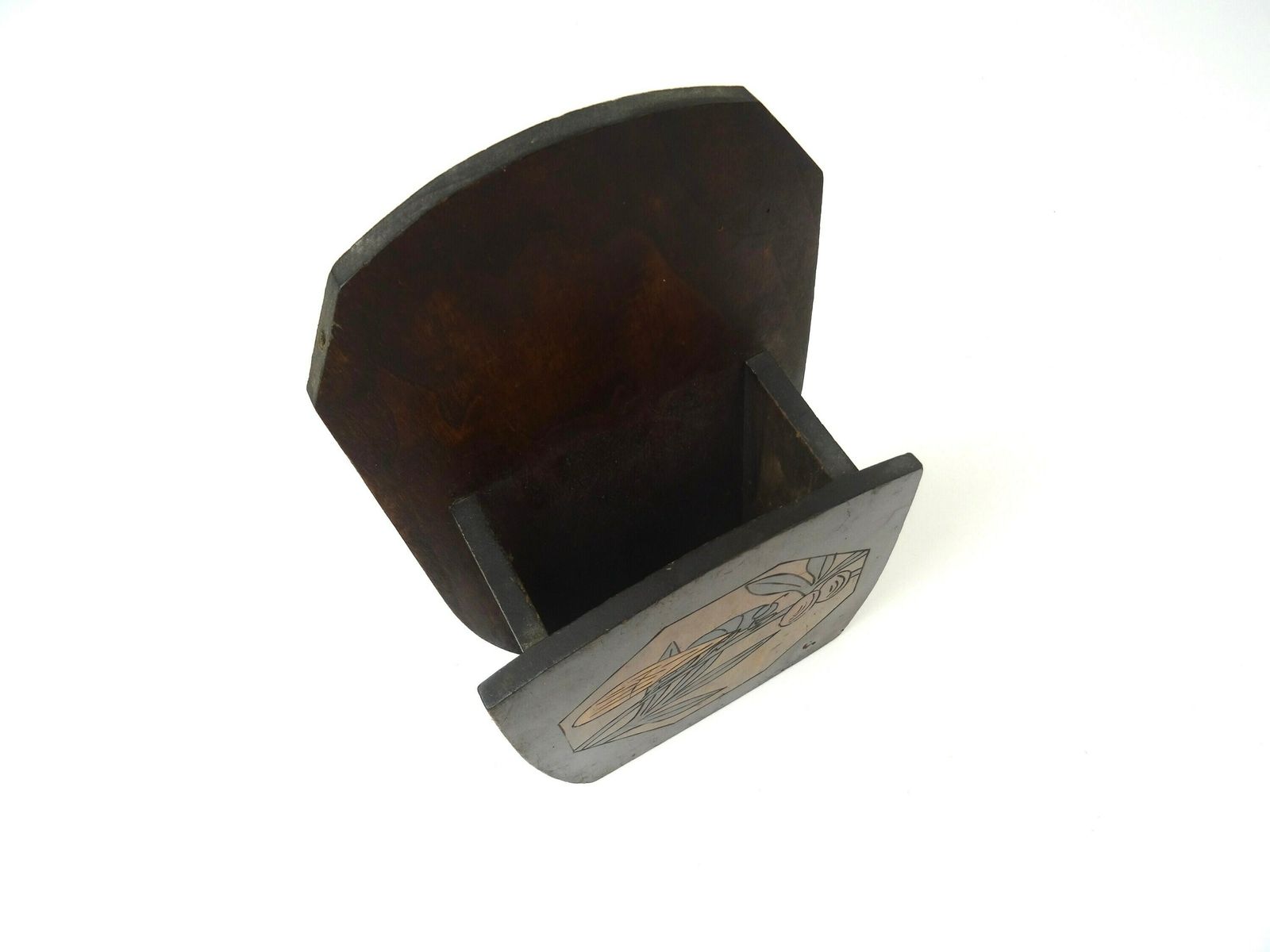 Rare Original Art Deco Antique Insect Wall Storage Box photo 166.0