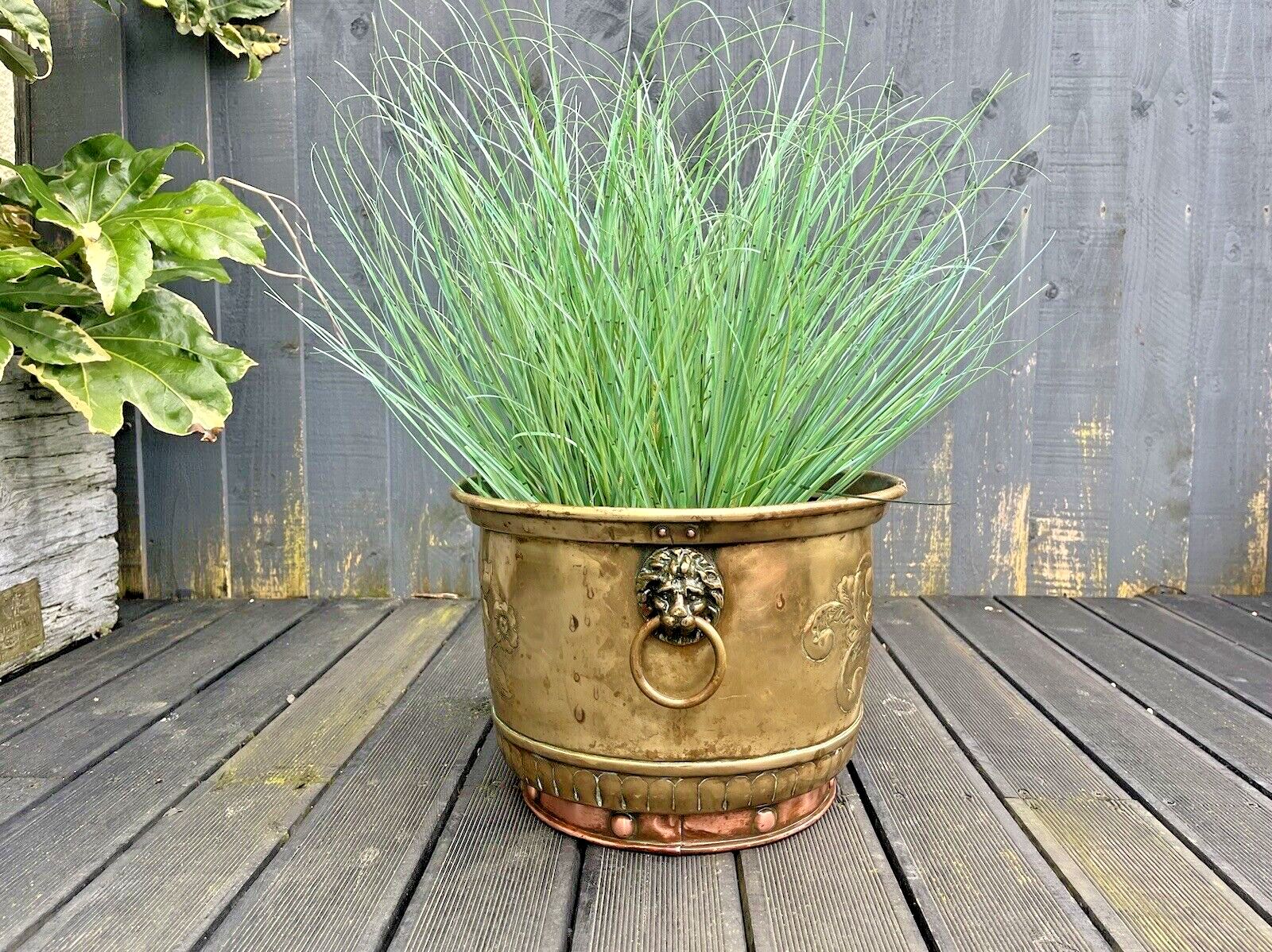 Antique Armorial Brass Copper Jardiniere Plant Pot Lion Head Handles Ice Bucket photo 325.0
