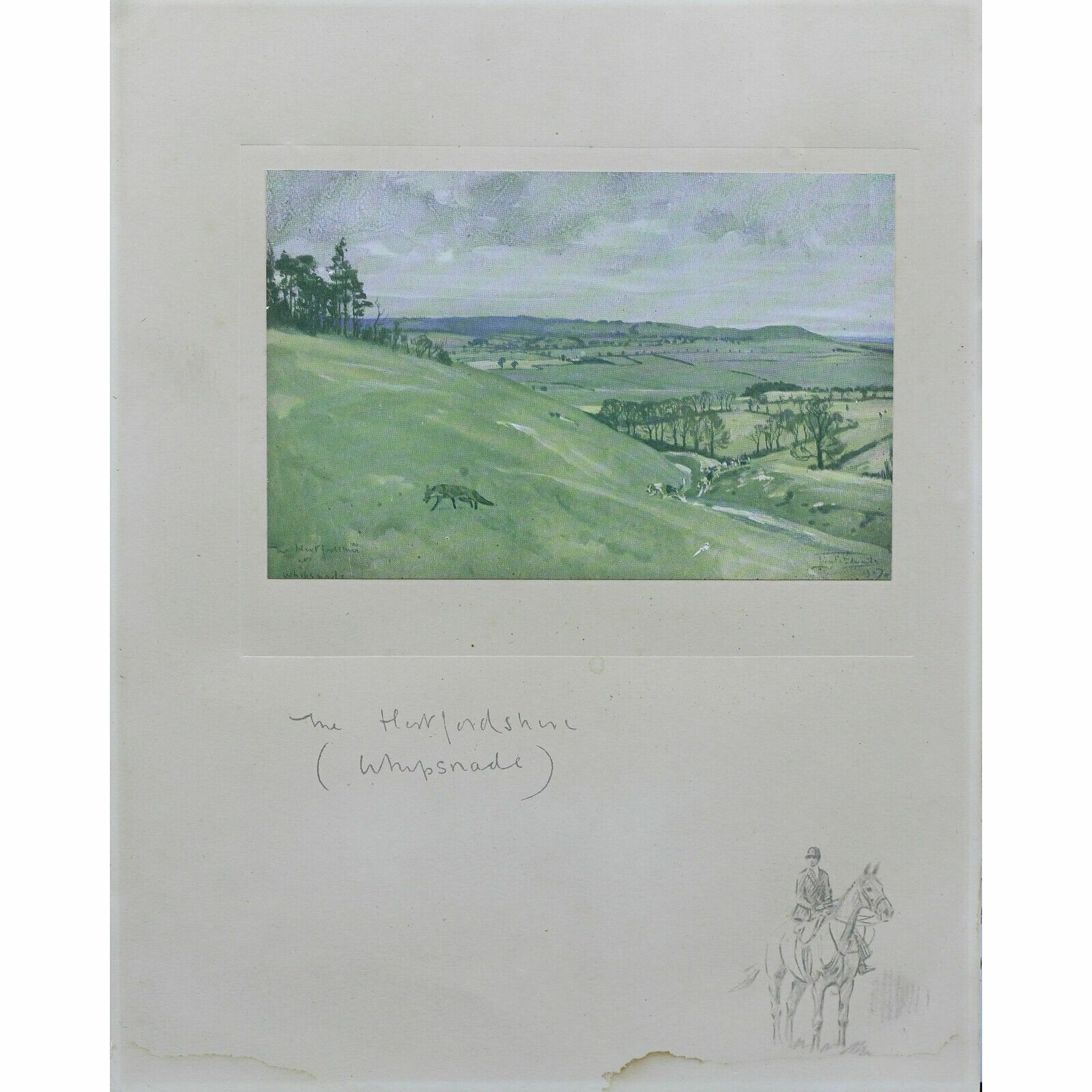 Print Of A Work By Lionel Edwards. Titled "The Hertfordshire, Whipsnade"