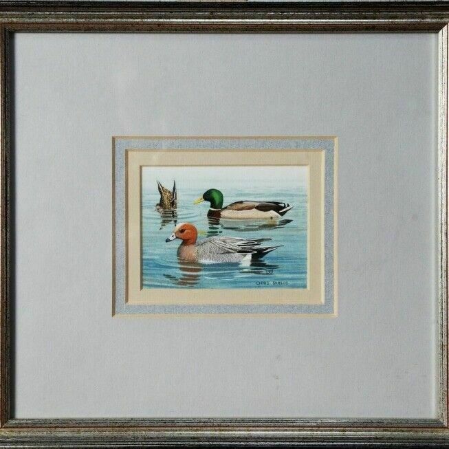 Ornithology Collection Of Signed Paintings By Chris Shields X 7 Framed Vary Size photo furniture