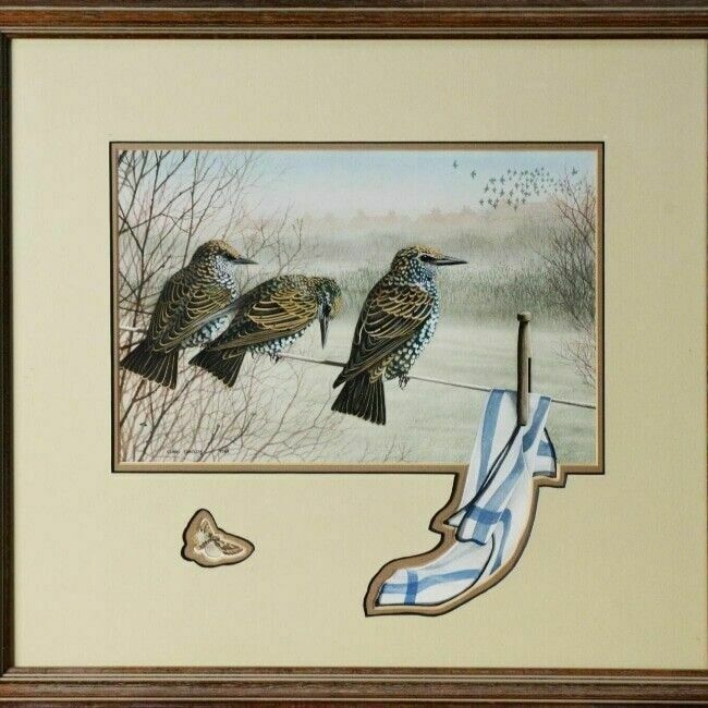 Ornithology Collection Of Signed Paintings By Chris Shields X 7 Framed Vary Size photo for sale