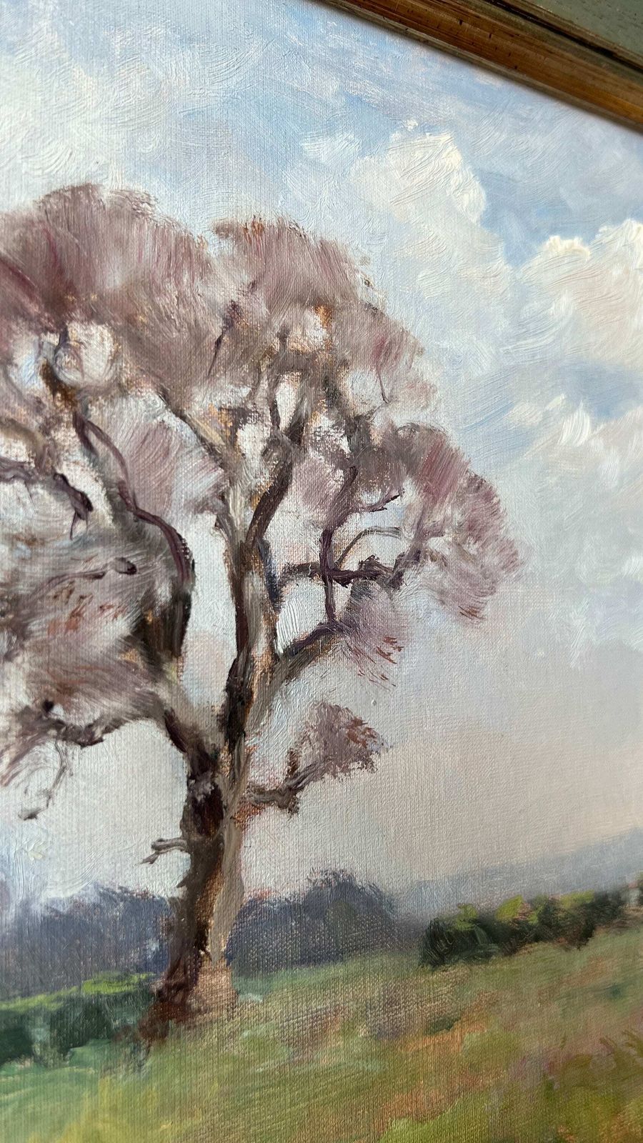 Original Signed & Framed Oil Painting “The Walnut Tree” Little Offley By Sheila Ashton photo Art