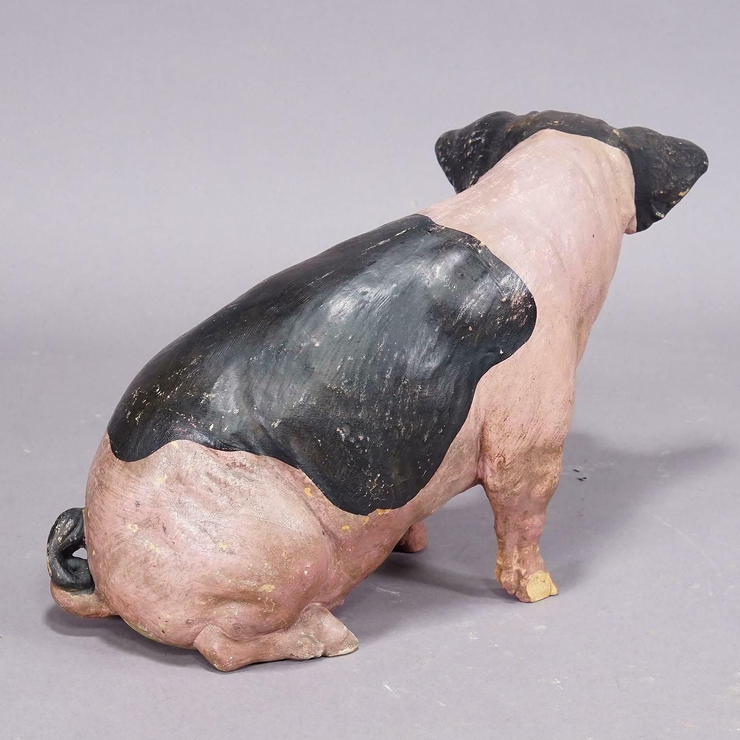 1930s Swabian Hallic Country Pig Made Of Terracotta photo 1118.0